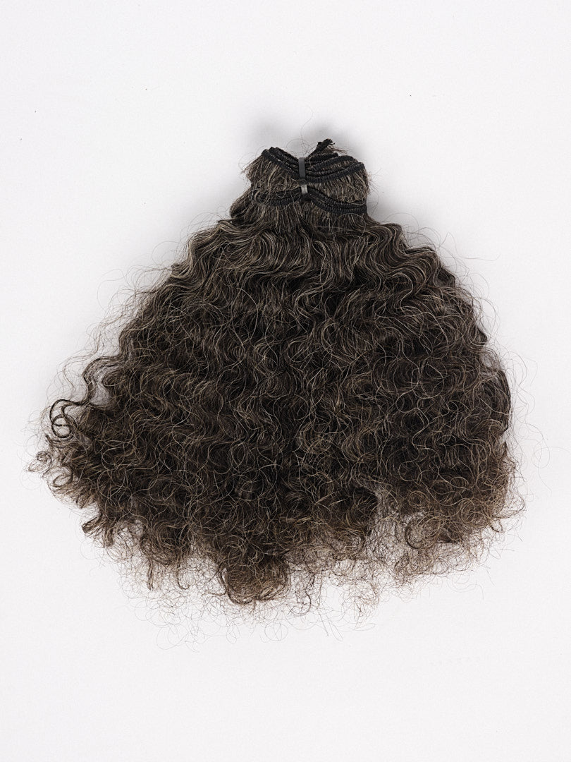 Divine Grace-Burmese Curl