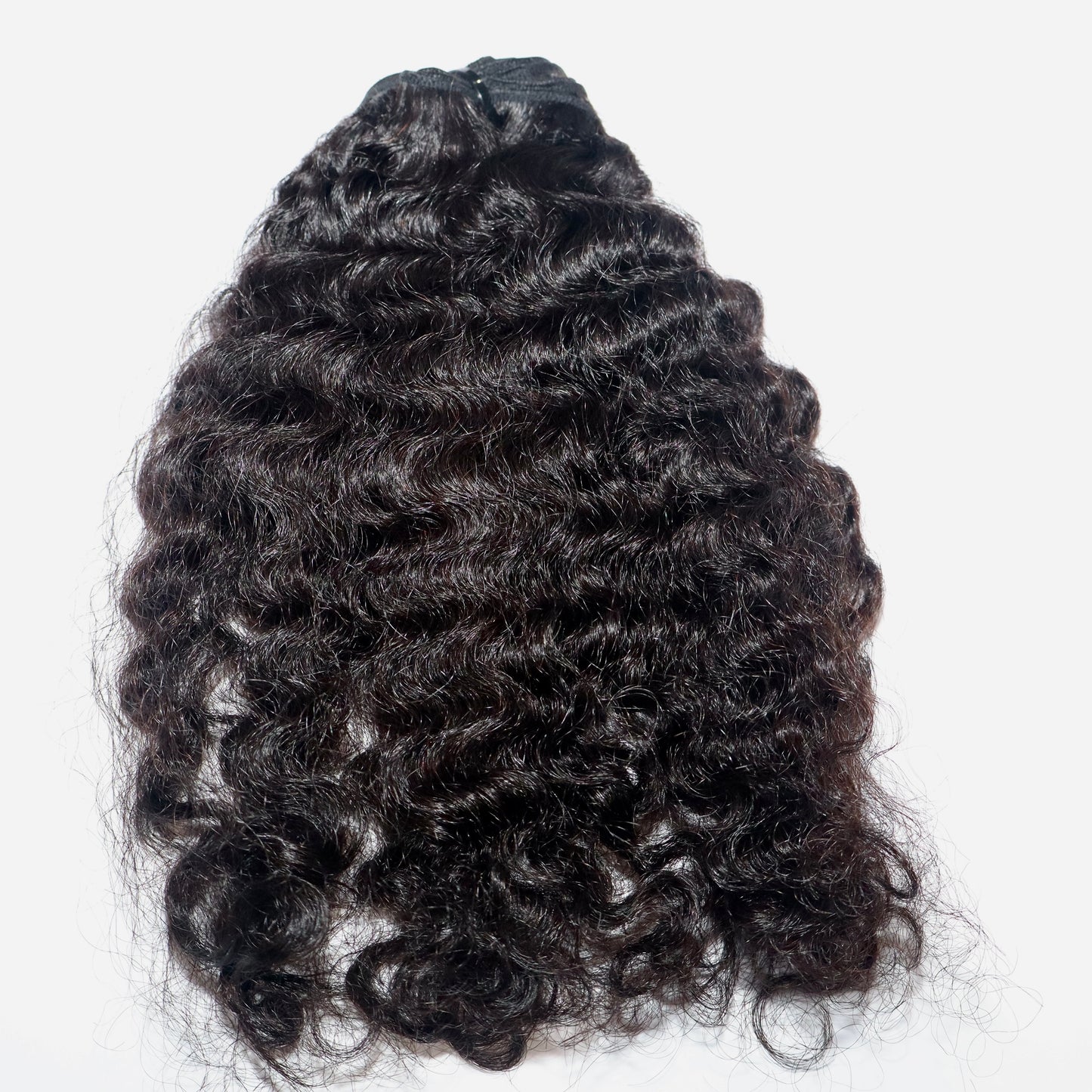 The Divine Curl -Burmese Curly