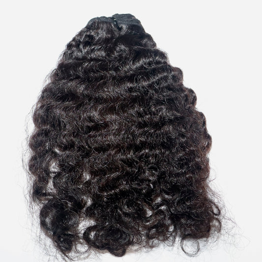 The Divine Curl -Burmese Curly