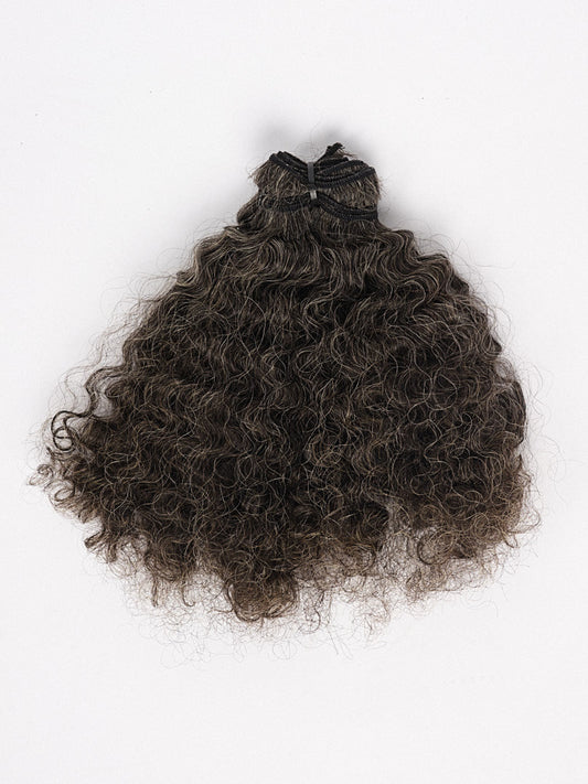 Divine Grace-Burmese Curl