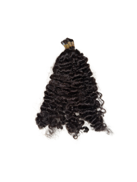 The Divine Curl -Bulk Burmese Curl
